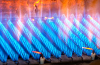 Llanmartin gas fired boilers
